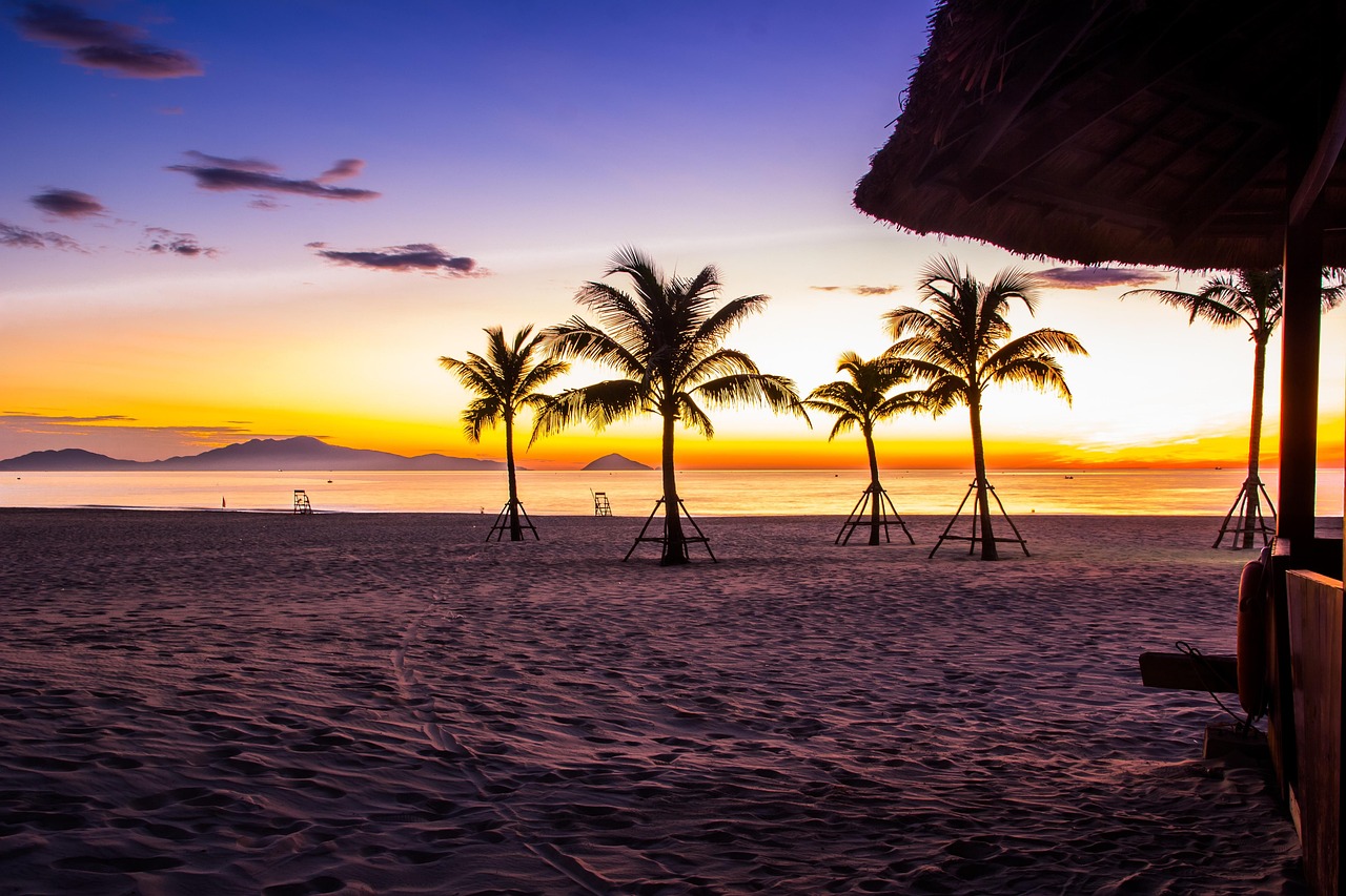 An Bang & Cua Dai Beaches