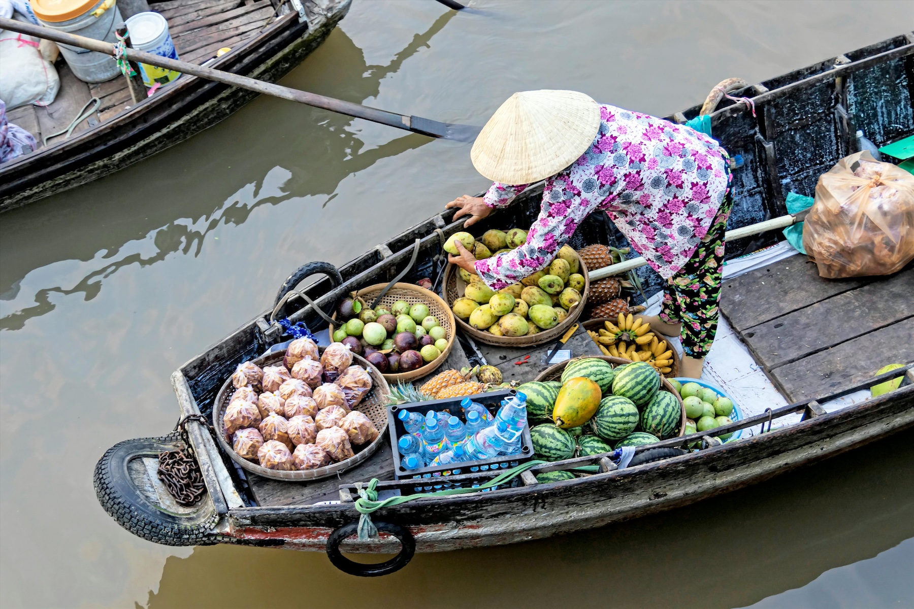 Mekong Delta Day Trip
