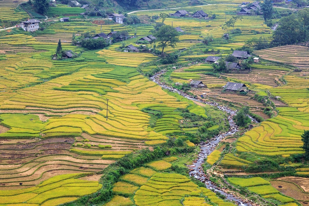 Muong Hoa Valley