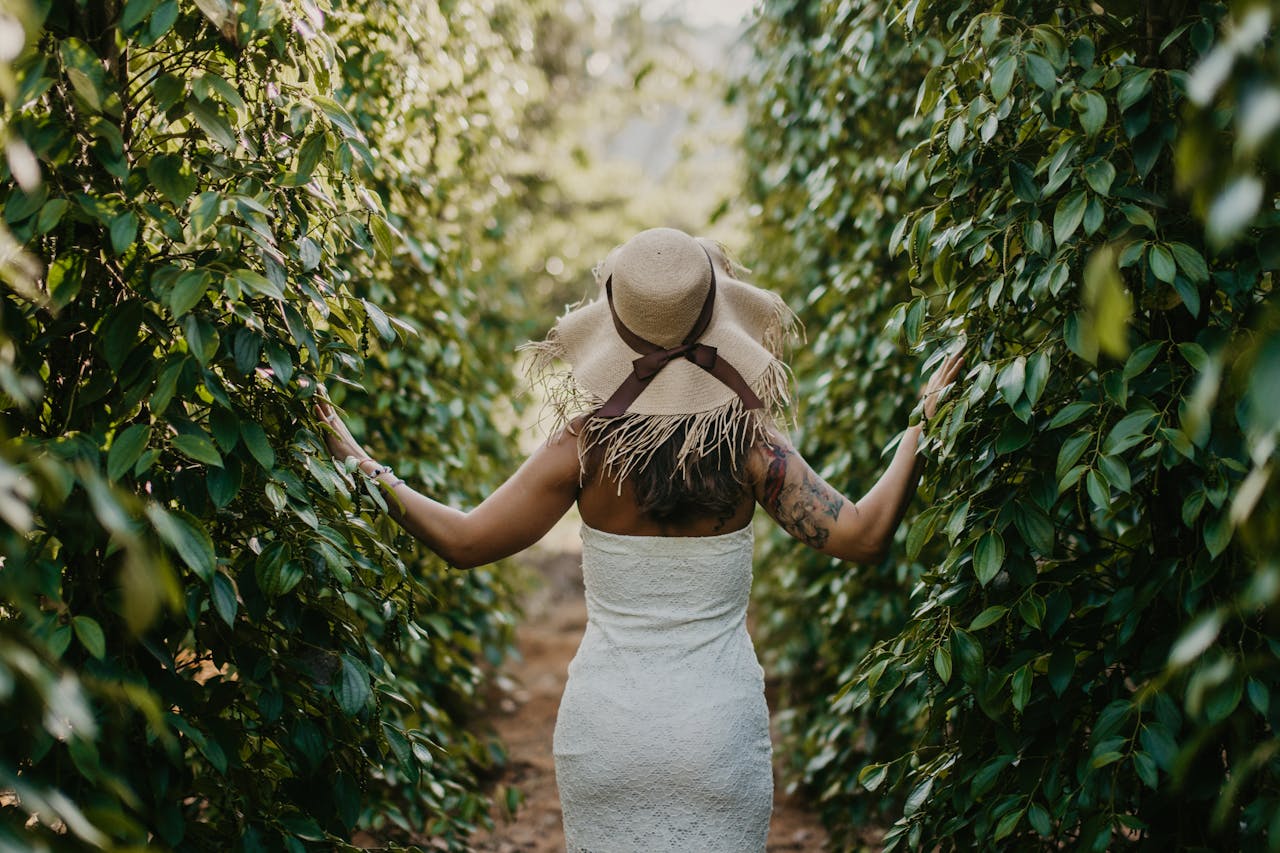 Pepper Plantations